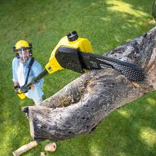 Best Artificial Turf Installation  in Marlow Heights, MD